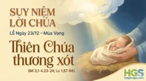 NGÀY 23 THÁNG 12 – MÙA VỌNG 2025