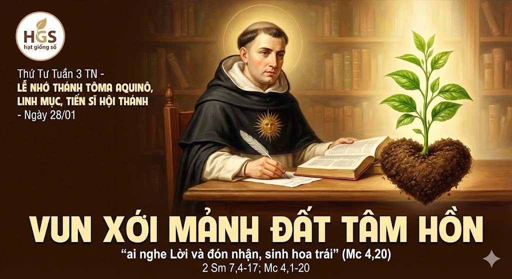Thứ Tư Tuần 3 TN - LỄ NHỚ THÁNH TÔMA AQUINÔ, LM-TSHT - 28/01